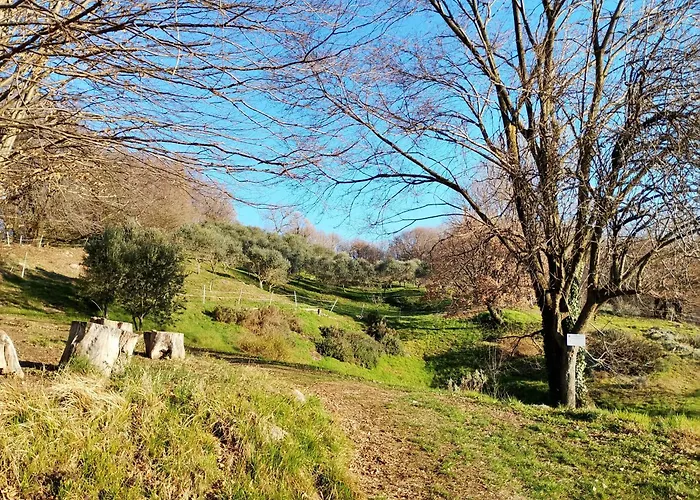 Agriturismo La Collina delle Api Castelcucco